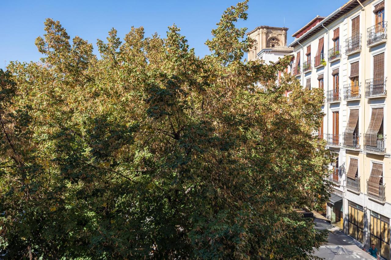 Apartmán Dreaming Bib Rambla - Free Parking Granada Exteriér fotografie